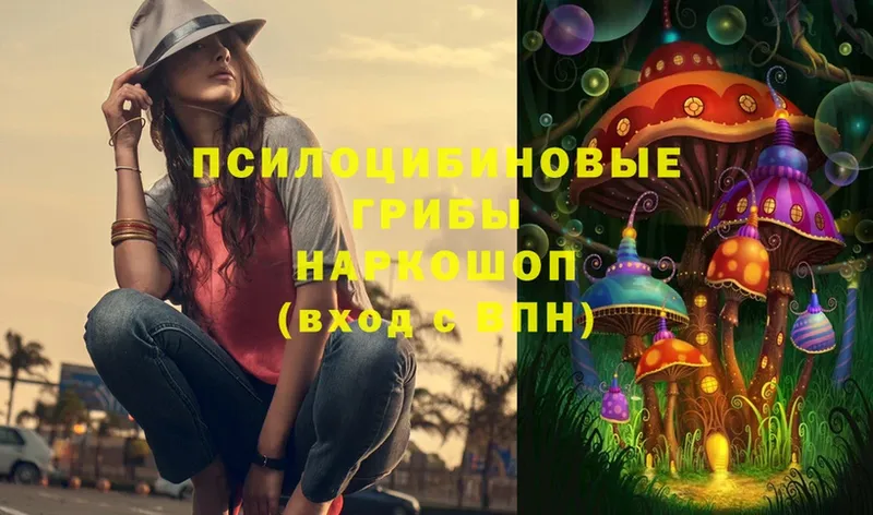 Галлюциногенные грибы Magic Shrooms  купить закладку  Таштагол 